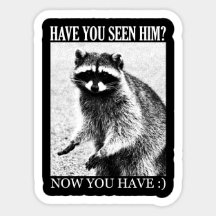 Have you seen him? Cute Raccoon Sticker